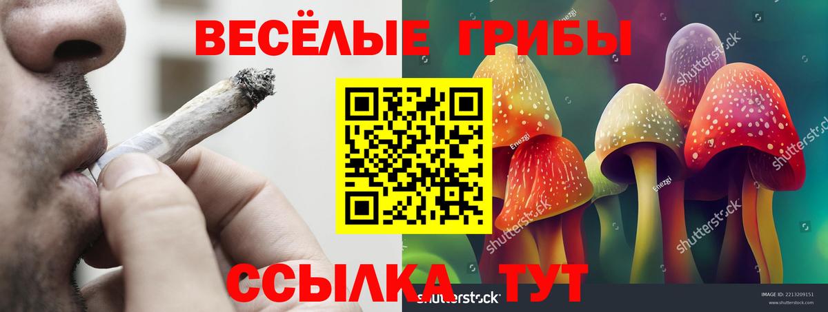 Балашиха  Псилоцибиновые грибы прущие грибы  Вход с VPN 